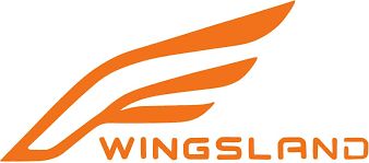 Assistenza Droni Wingsland