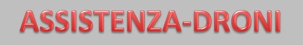 Assistenza Droni